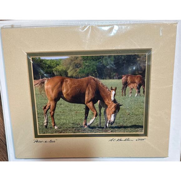 Peek A Boo Horses with Baby Foals Signed by A.C. Kandler Photography 2005 - Picture 1 of 5